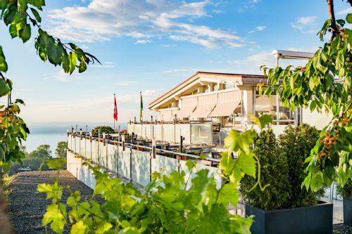 Bild der Gastronomie im Best Western Hotel Rebstock