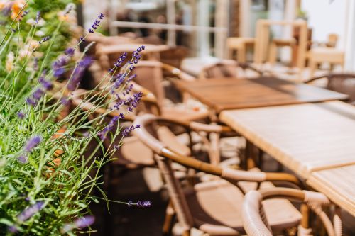 Bild der Gastronomie im Best Western Plus Hotel Willingen